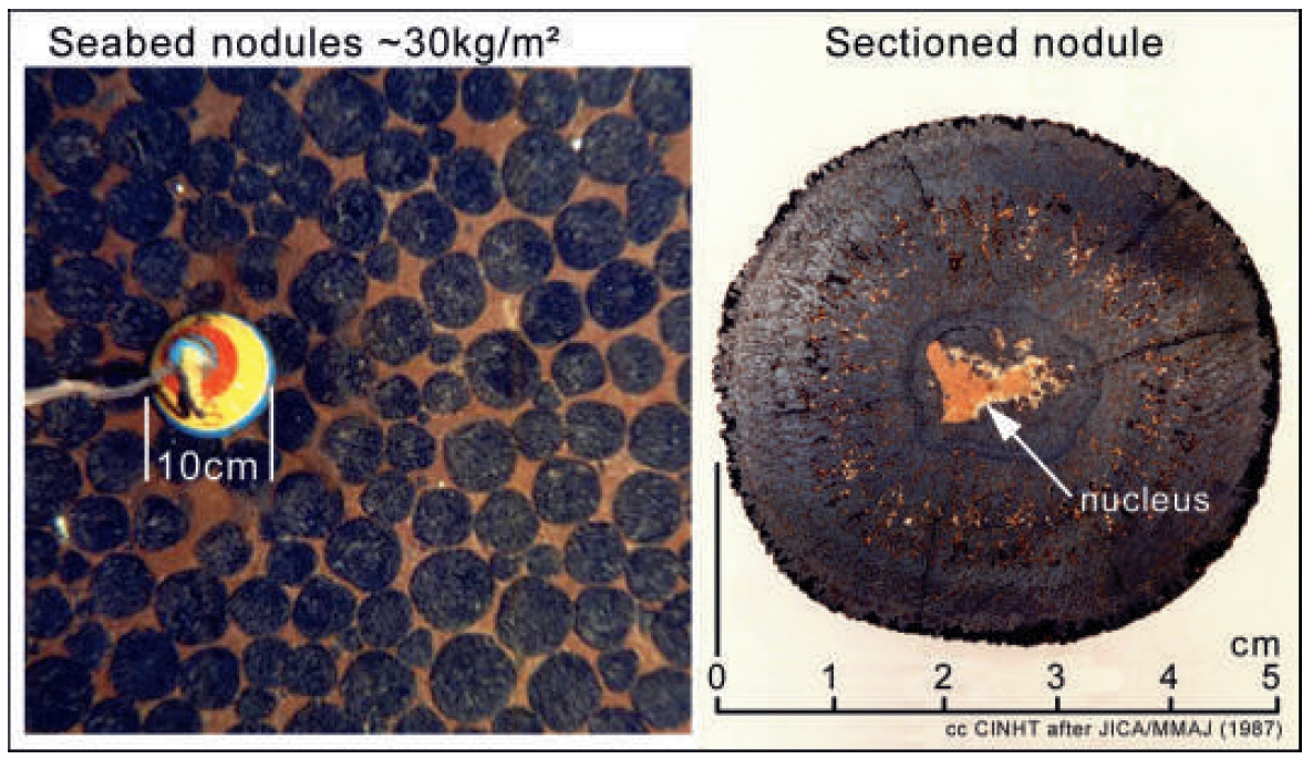 nodule_nucleus.webp