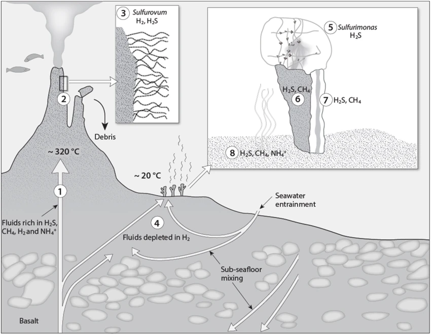 Model of subsea mineral formation in the Loki's Castle vent field