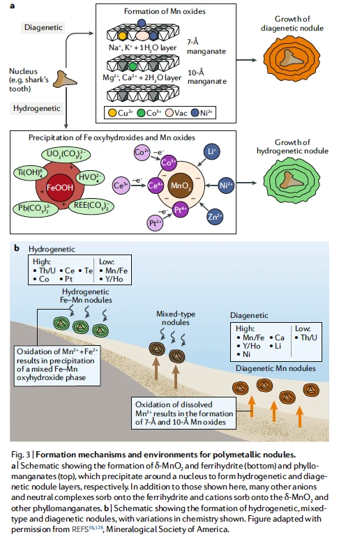 Diagram of polymetallic nodule formation