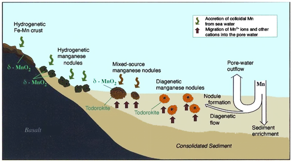 A diagram of the various means by which subsea polymetallic nodules form