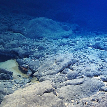 Cobalt crust on the seabed