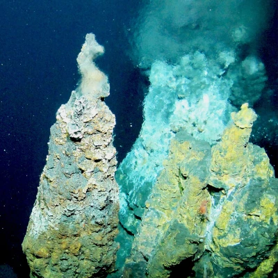 Sulphide deposits from a hydrothermal vent